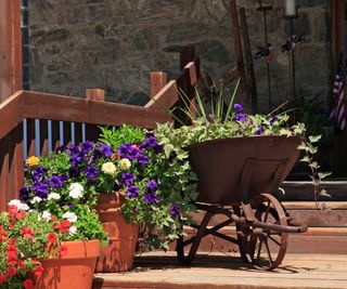 wheelbarrow planter