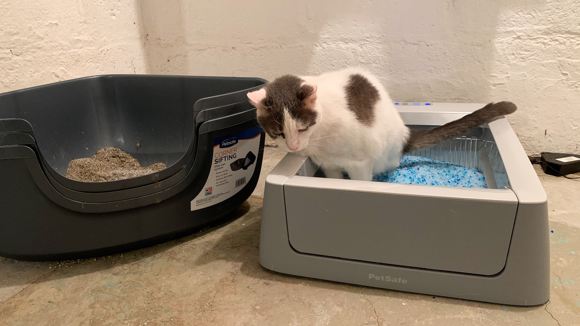 Petsafe ScoopFree Smart Self-Cleaning Litterbox review