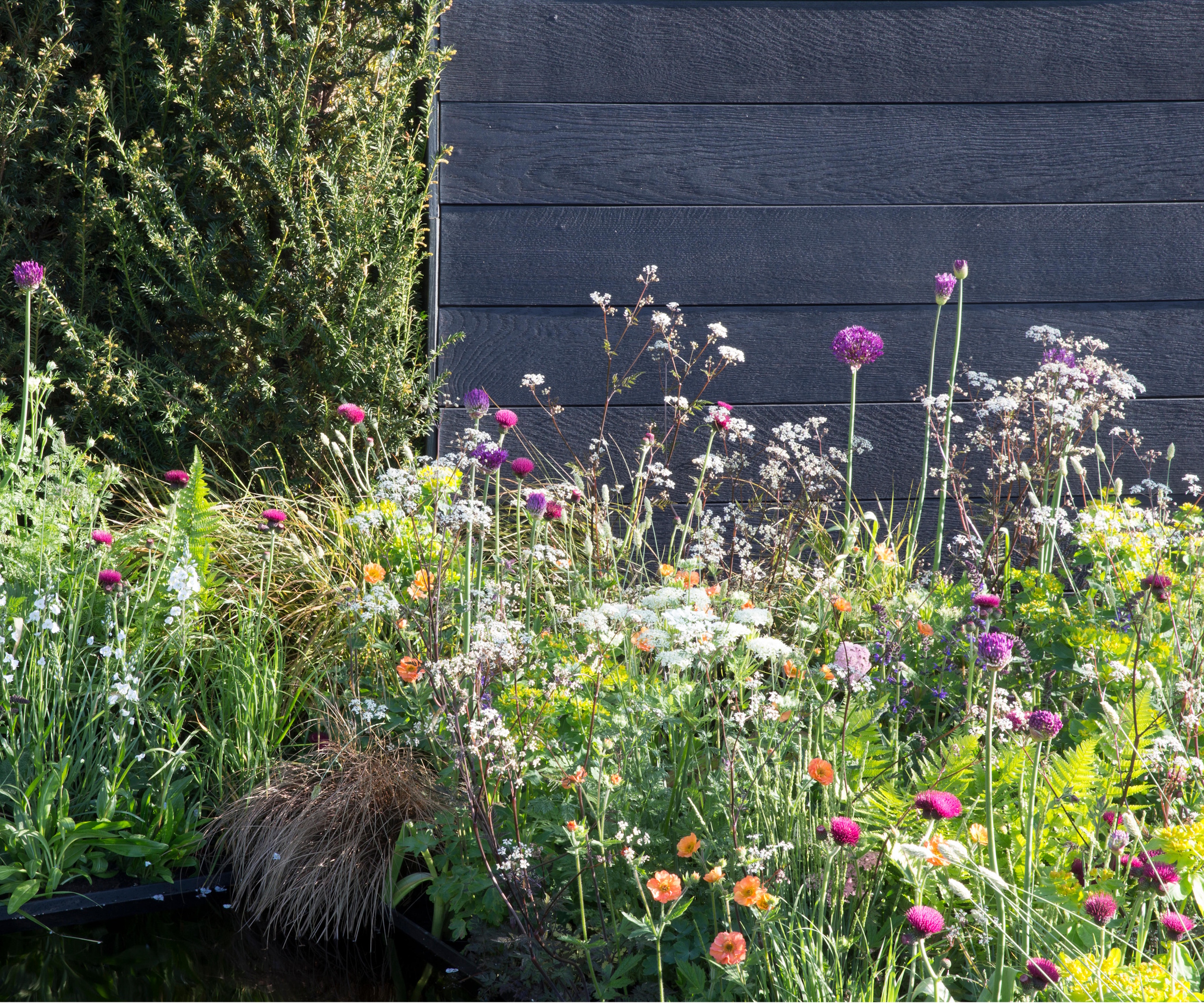 Black garden fence