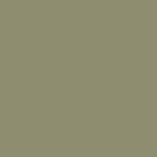 Olive Green No. 13 color swatch