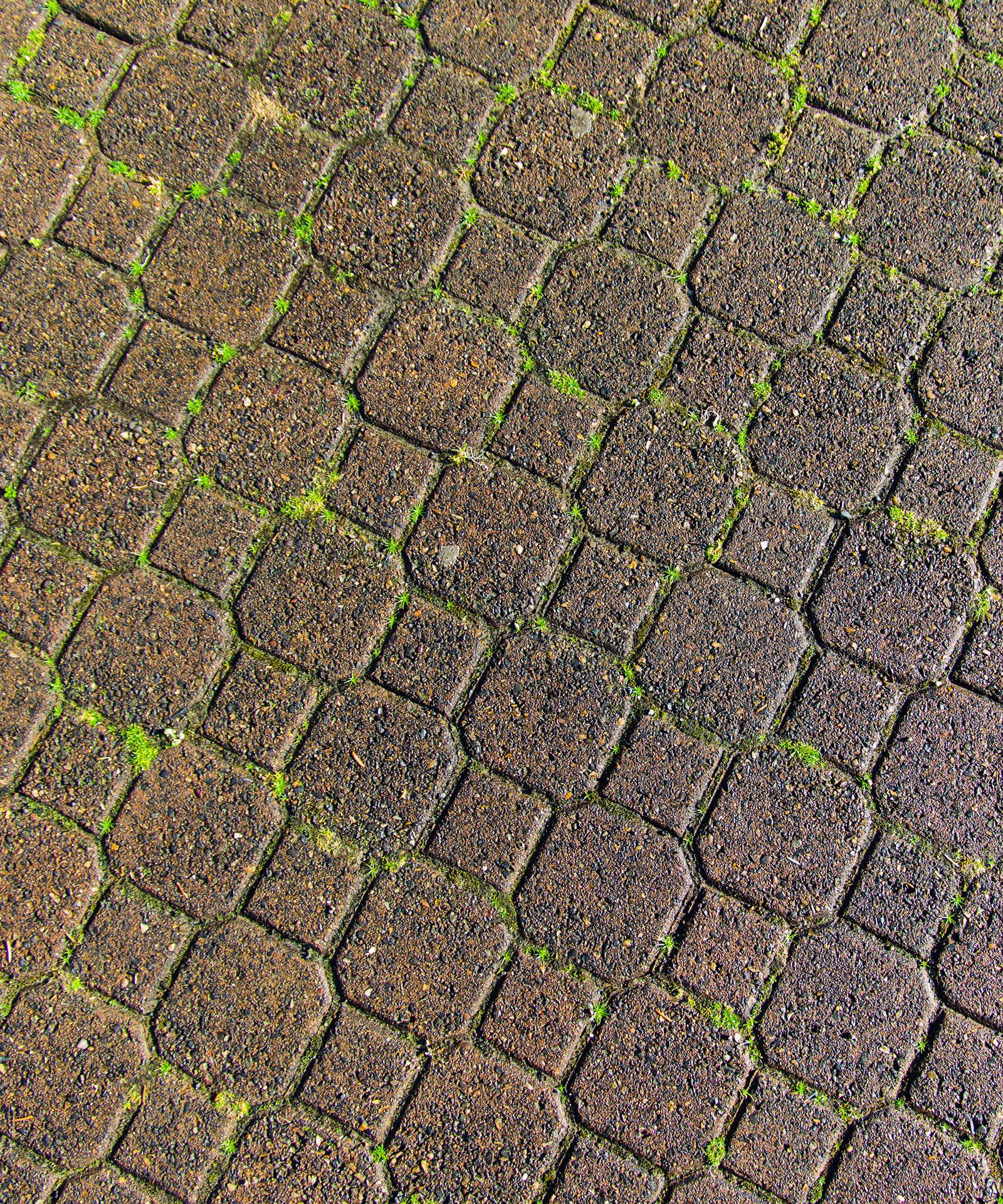 Why is my patio going green? The most common causes