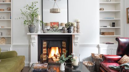 traditional fireplace ideas victorian with houseplant and artwork