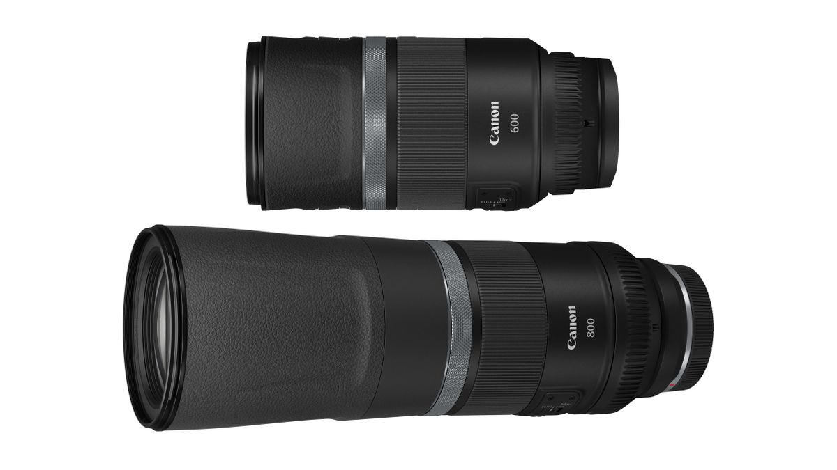 Canon RF 800mm f/11 and Canon RF 600mm f/11 lenses