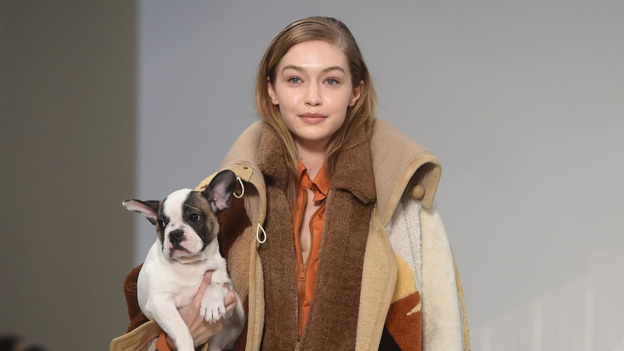 Gigi Hadid Tod&#039;s Puppy