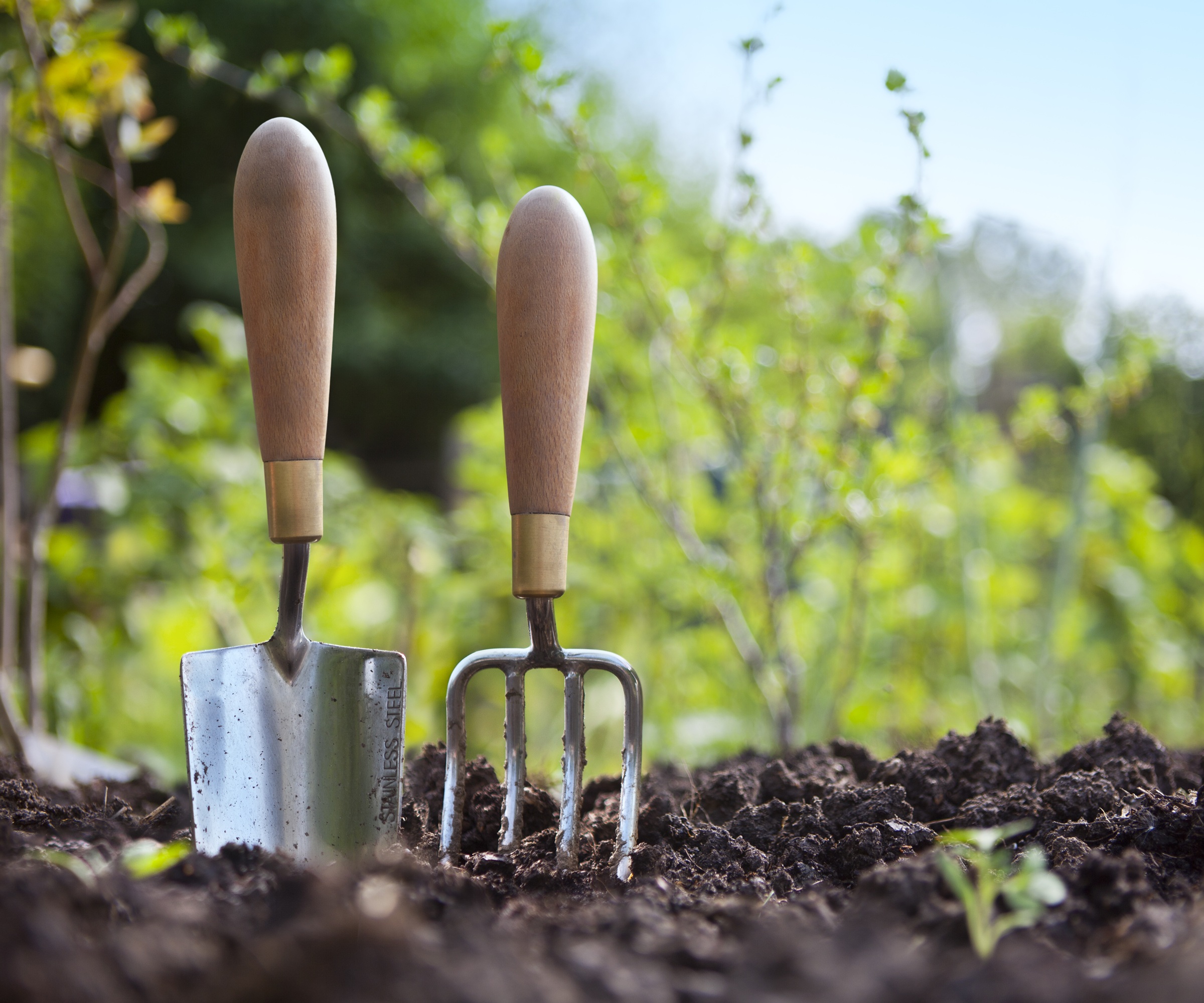 weeding garden, hand tools,
