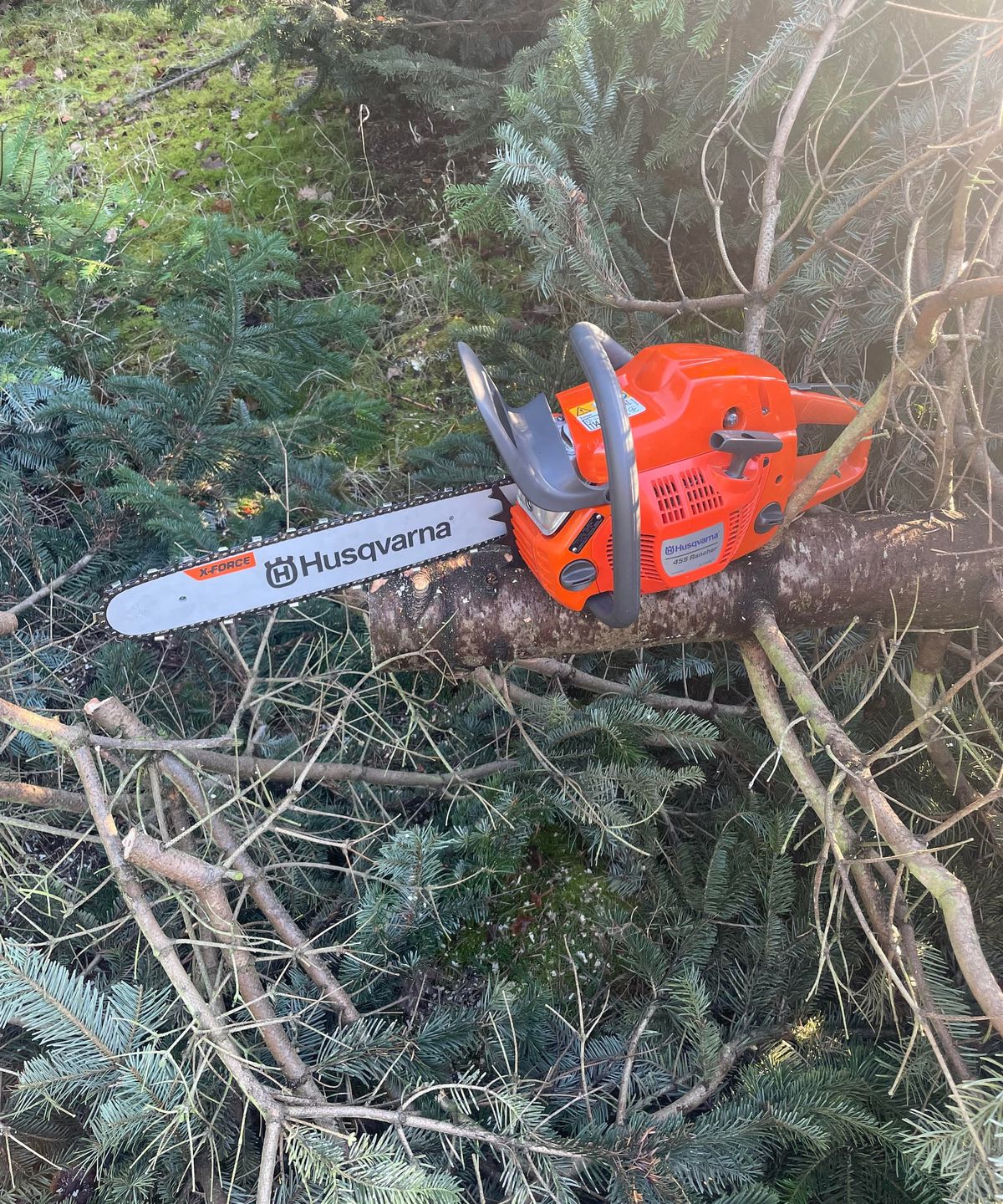 A Husqvarna chainsaw on top of a fallen tree