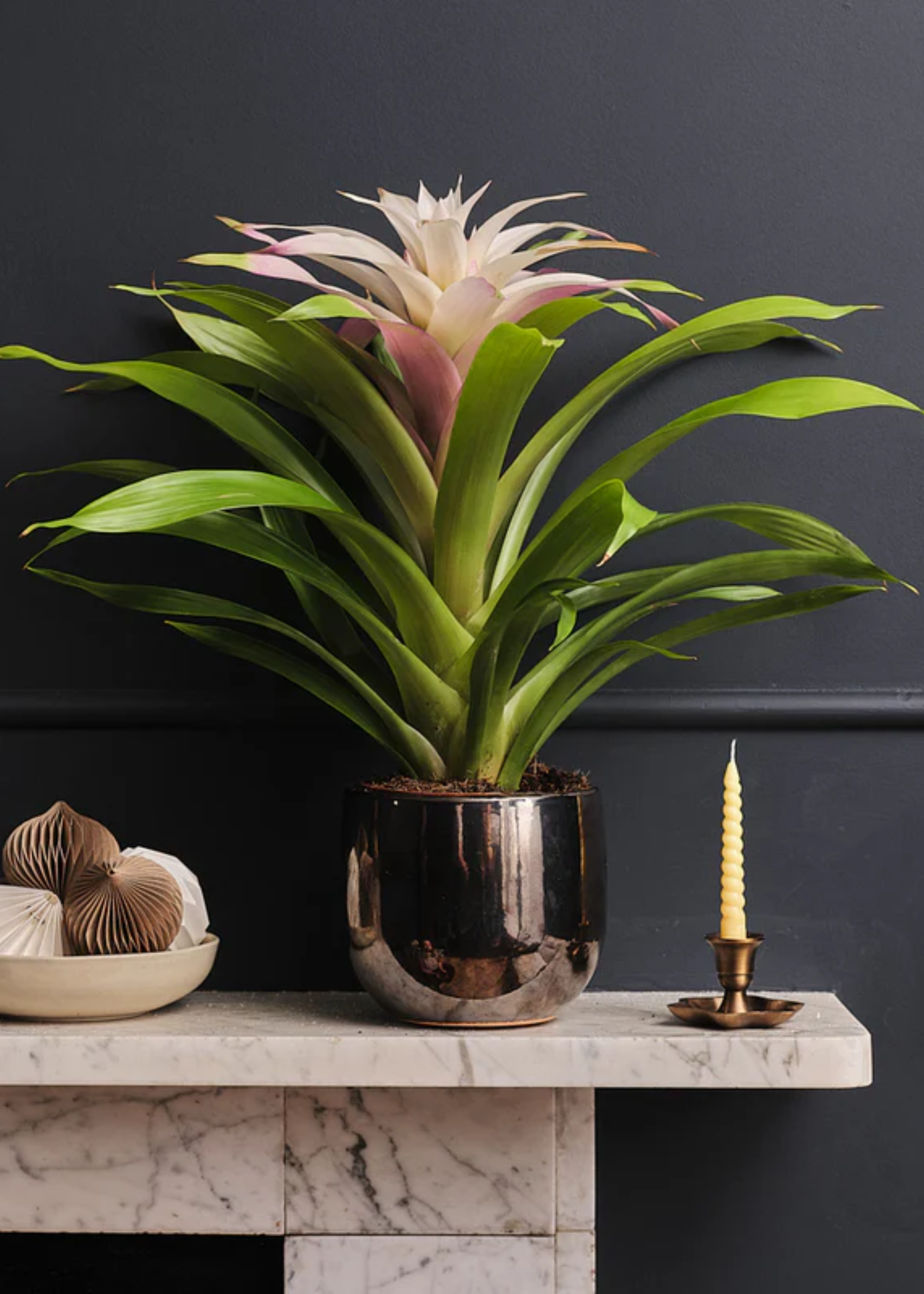 A bromelia in a silver planter on a marble mantel beside a bowl of paper baubles and a tapered candle in a brass holder