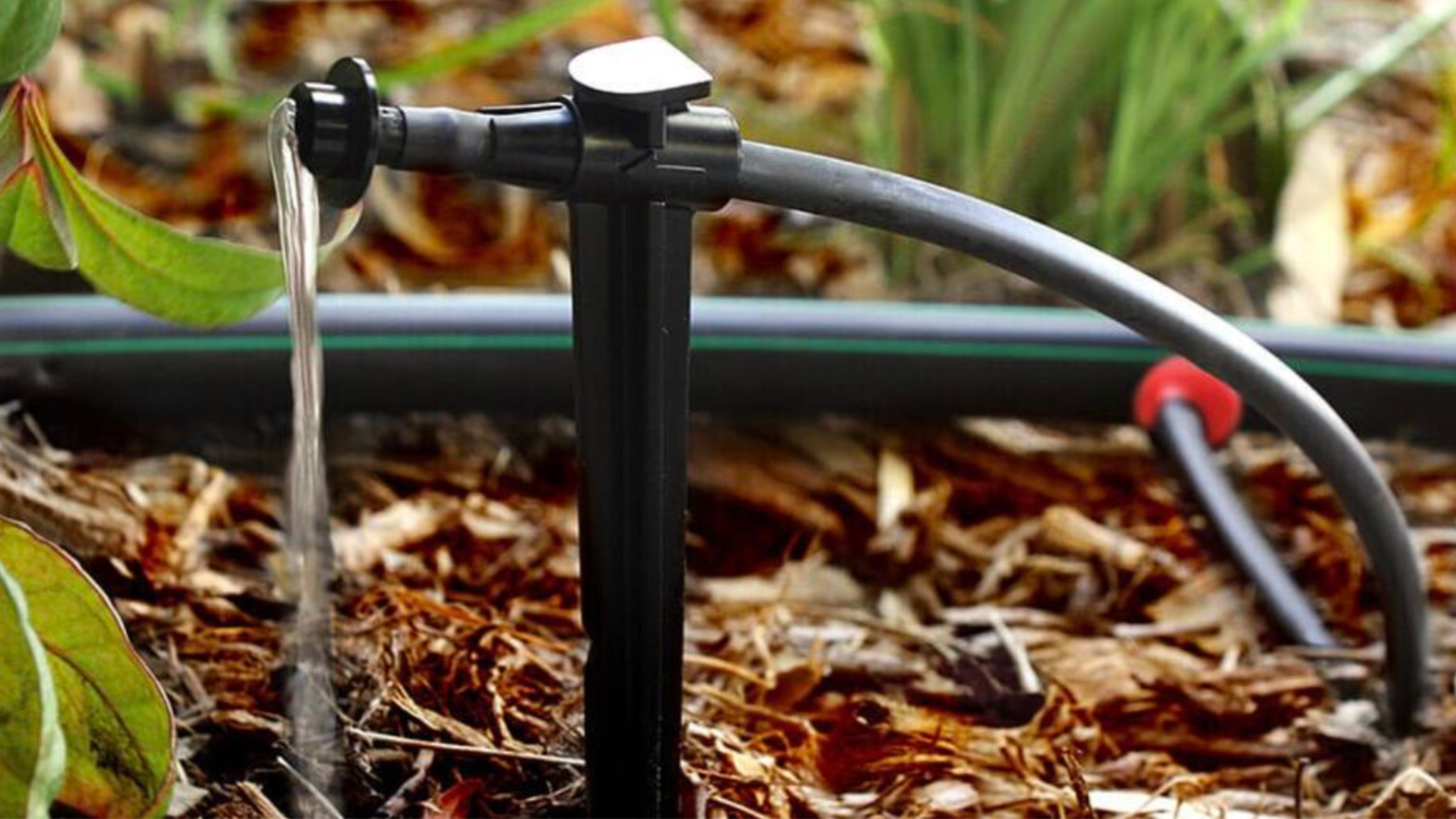 Image of drip irrigation system