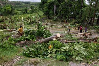 A man near the western Haitian town of Leoganne works to clear trees from his property on Oct. 5, 2016, that were downed when Hurricane Matthew passed over Haiti on Oct. 4.