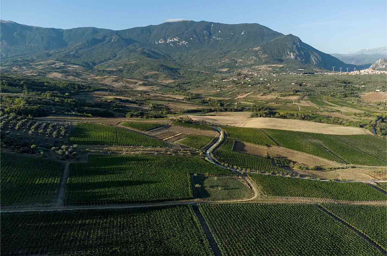 Zaccagnini winery in Abruzzo, Italy