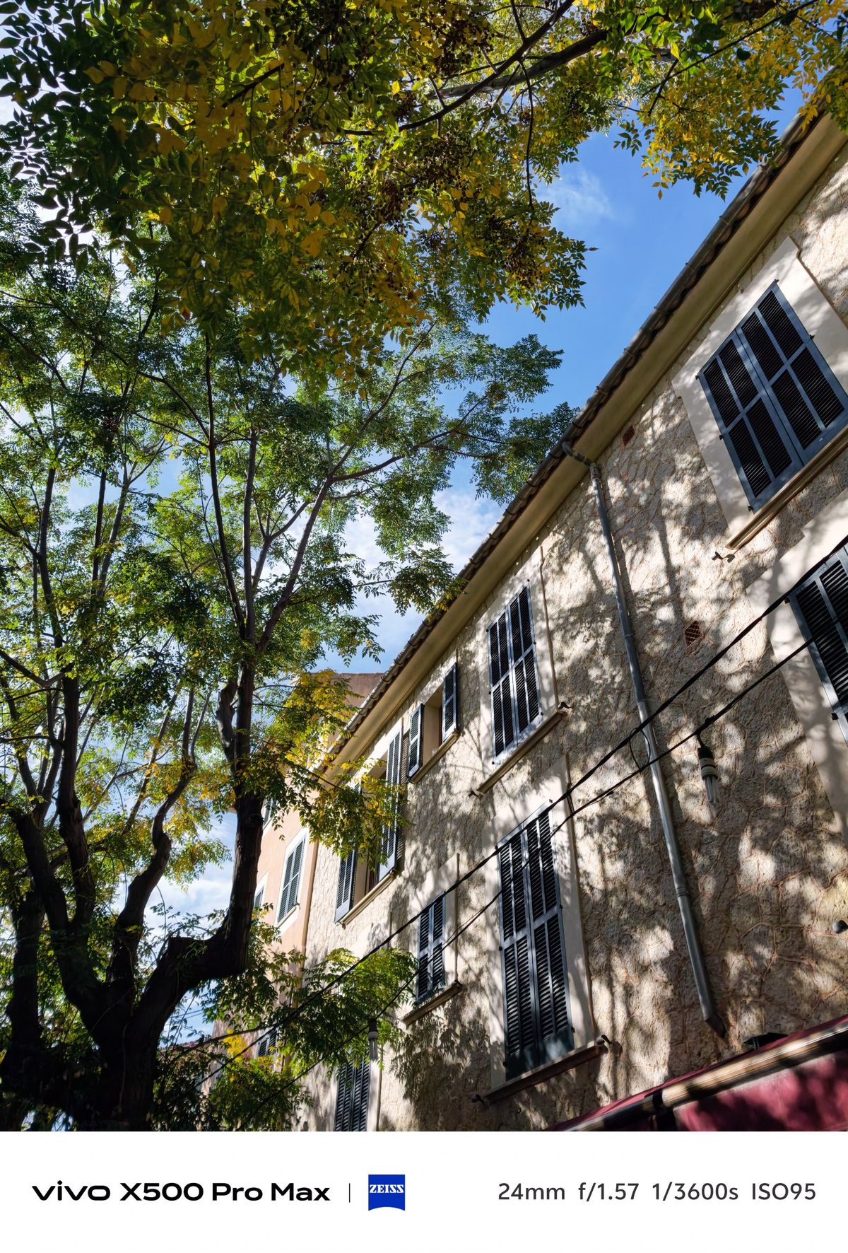 Looking upward through leafy tree branches toward a stone building with dark shutters.