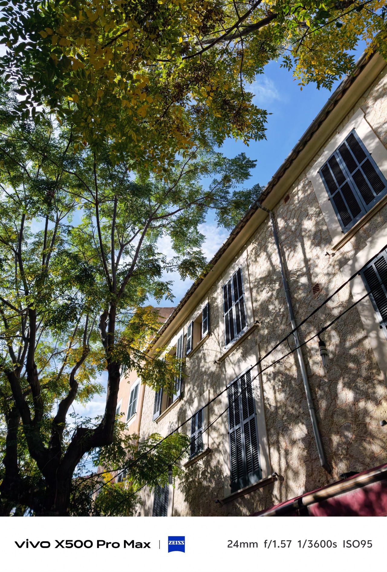 Looking upward through leafy tree branches toward a stone building with dark shutters.