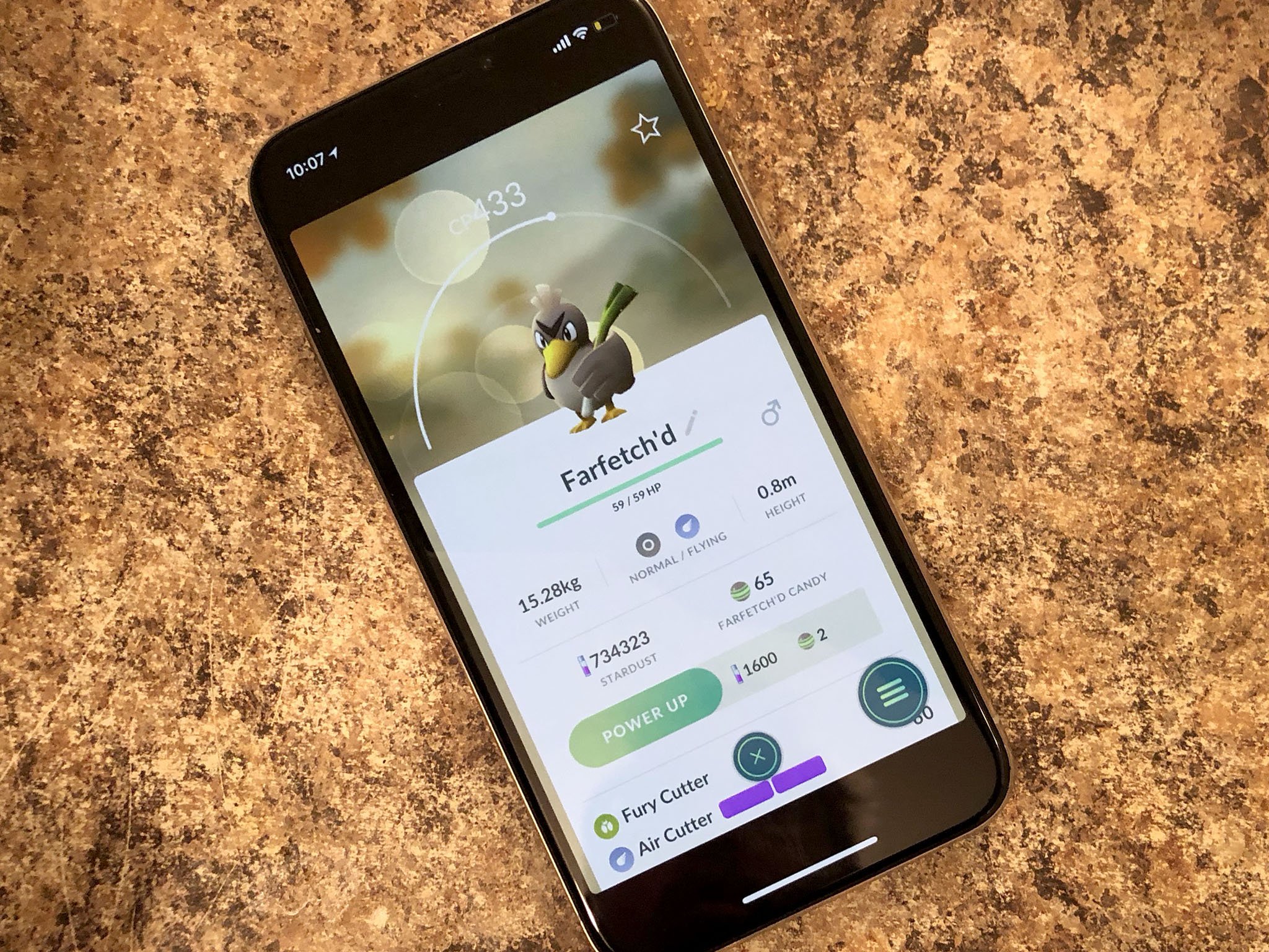 Farfetch'd (Pokémon) - Pokémon GO