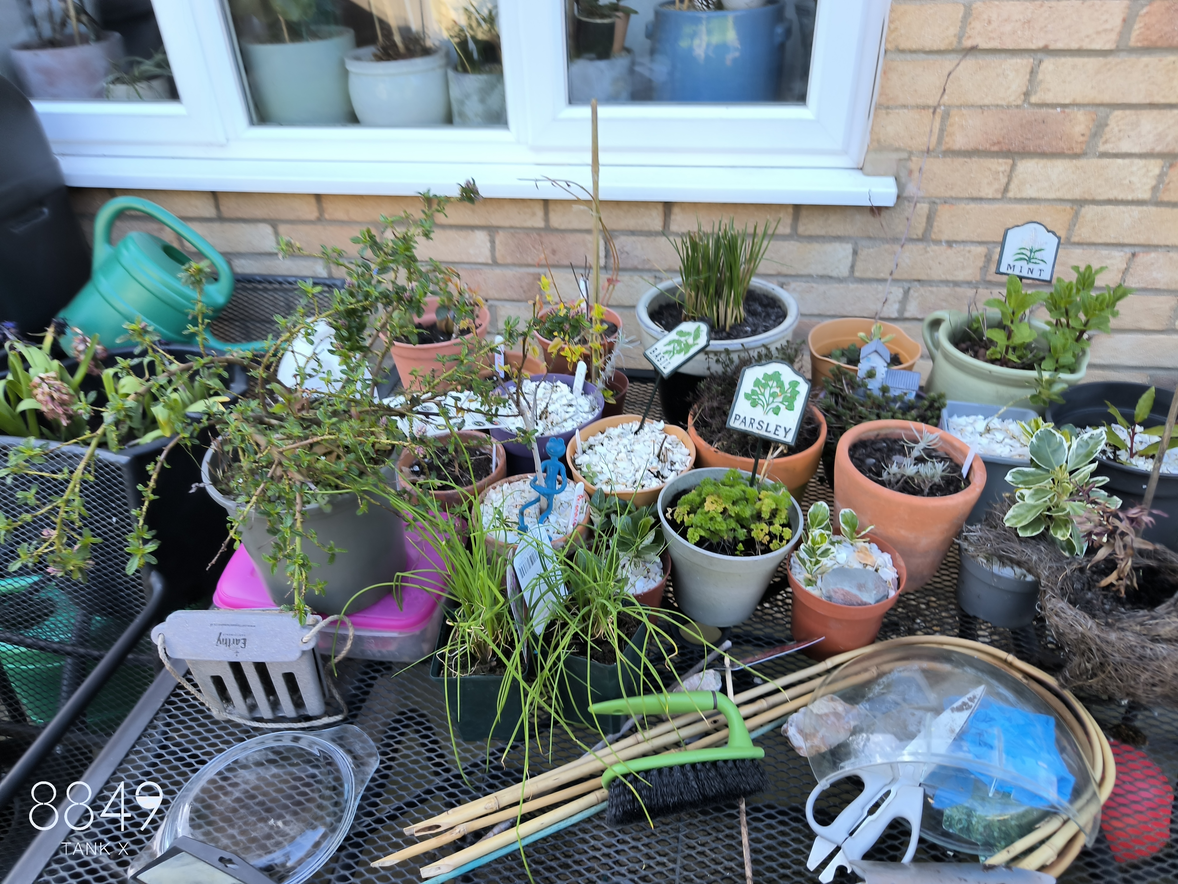 8849 Tank X Example Photos