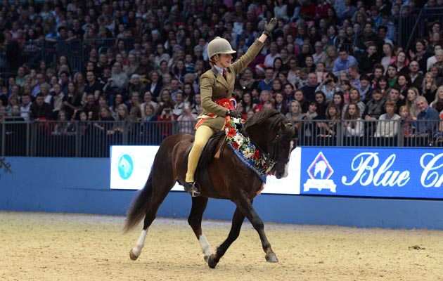 Moelview-Prince-Consort.jpg