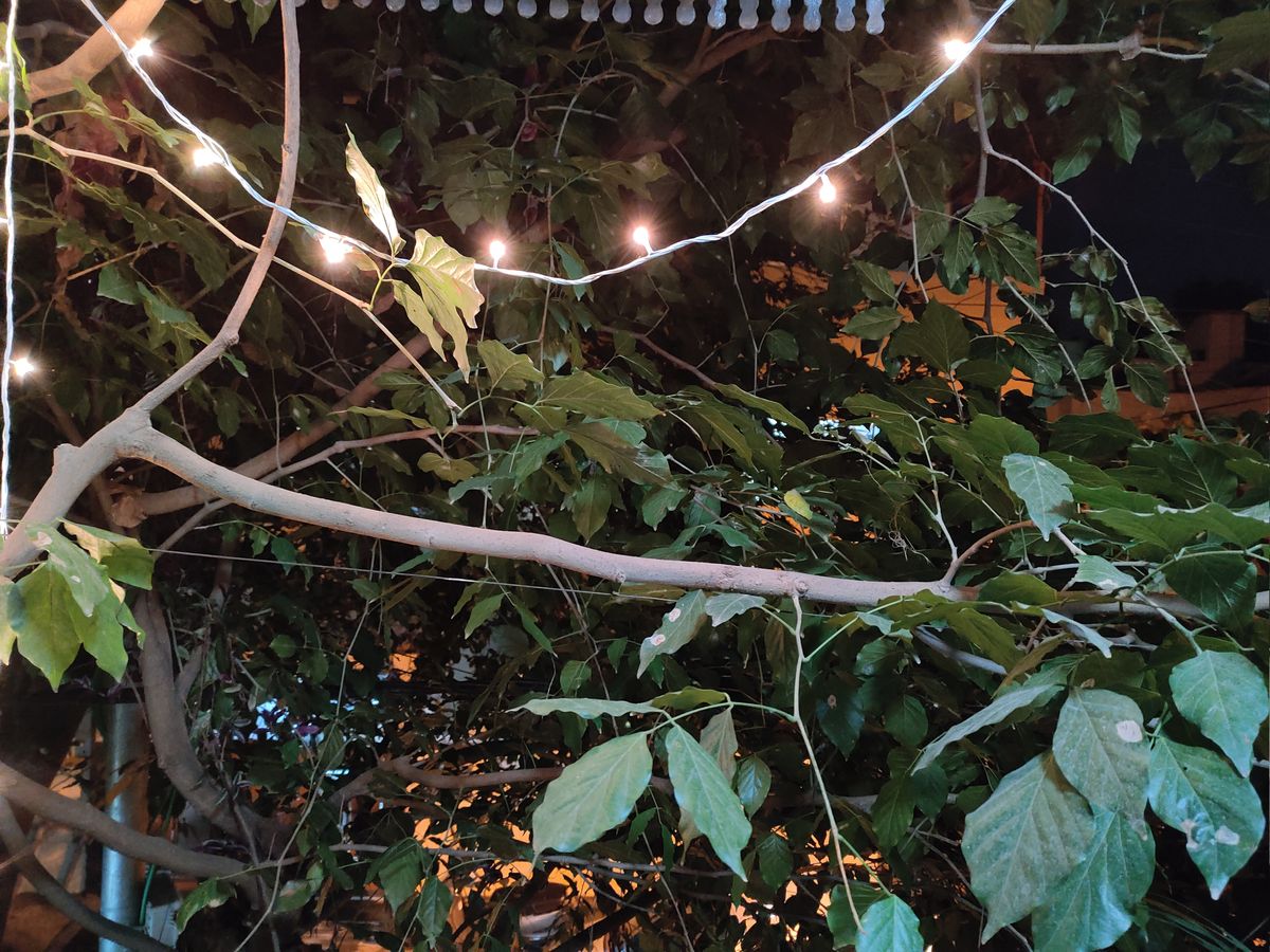Realme GT Neo 2 camera samples