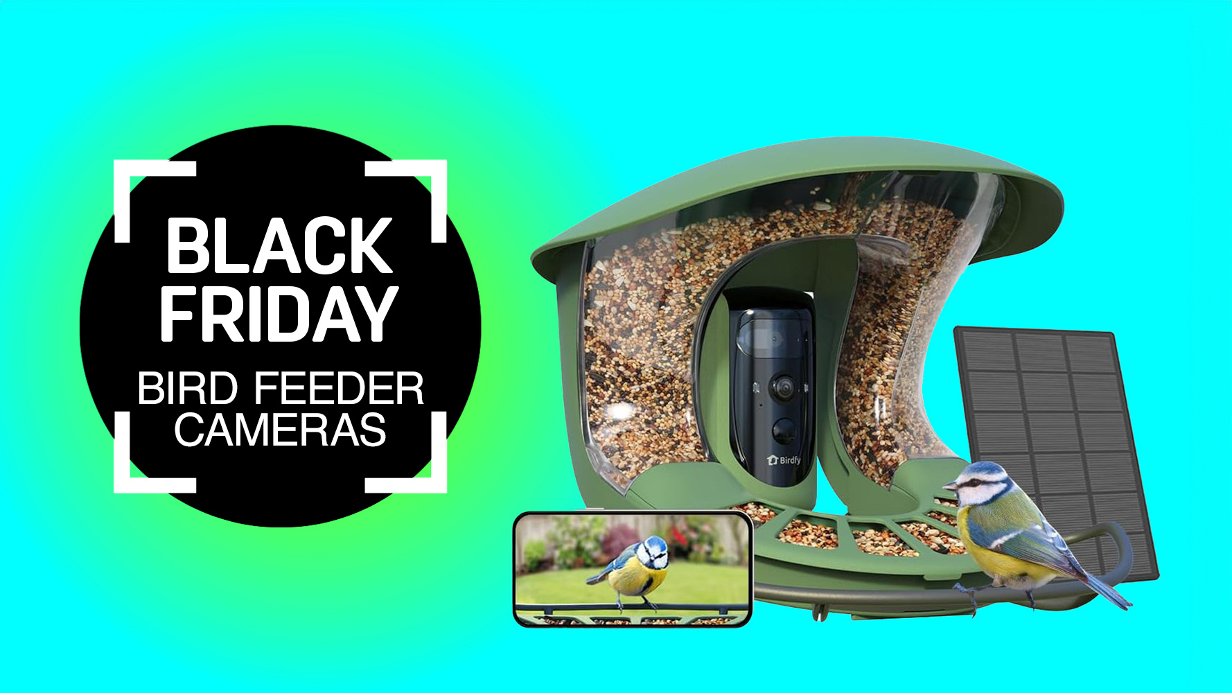 Birdfy bird feeder camera and Black Friday stamp