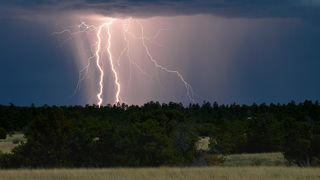 Lightning over forest