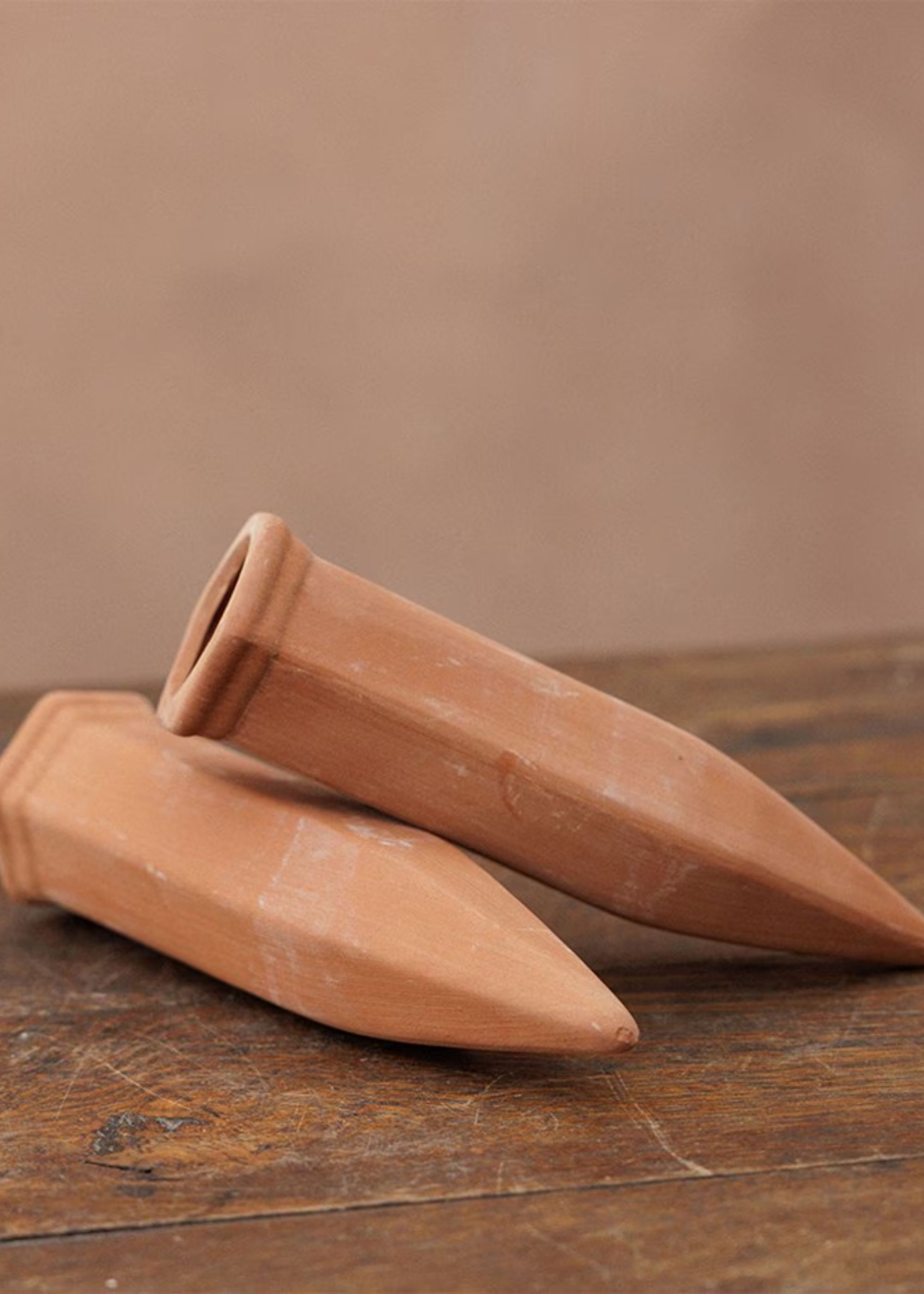crocus, Terracotta water irrigation spikes