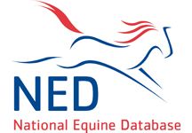 NEWNEDLOGO08.jpg