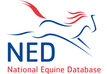 NEWNEDLOGO08.jpg
