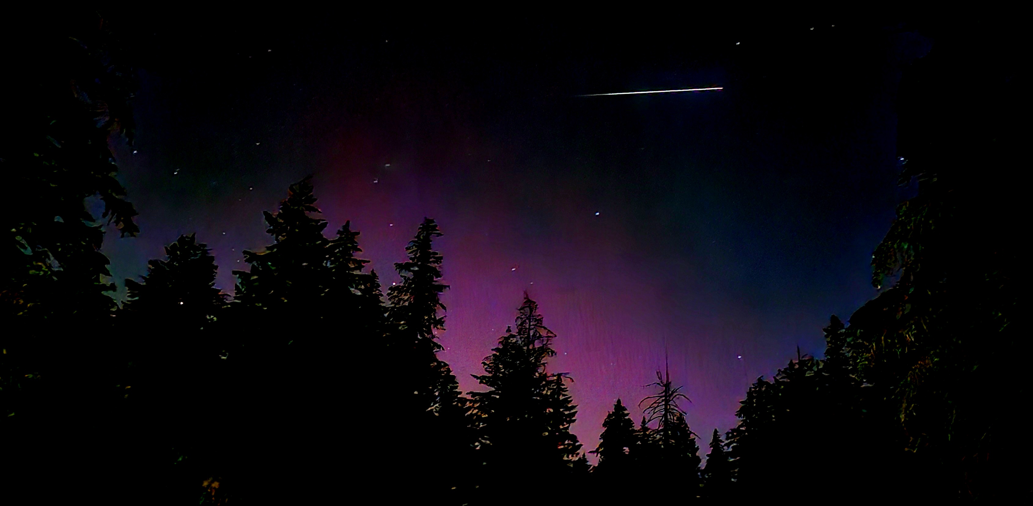 In the foreground, trees are silhouetted as the sky glows purple and pink and a single meteor streaks across the starry sky.