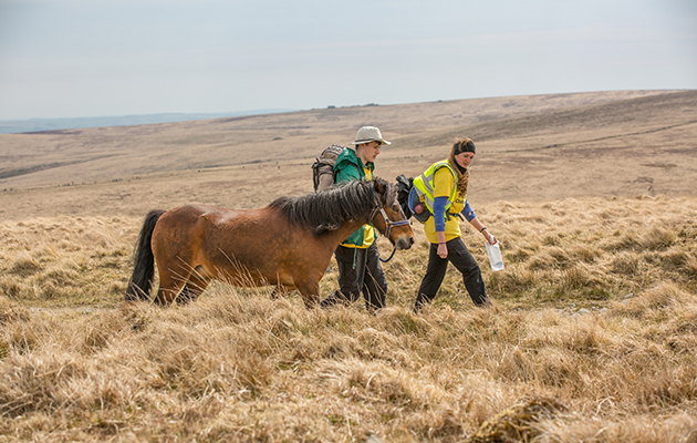 Dartmoor2