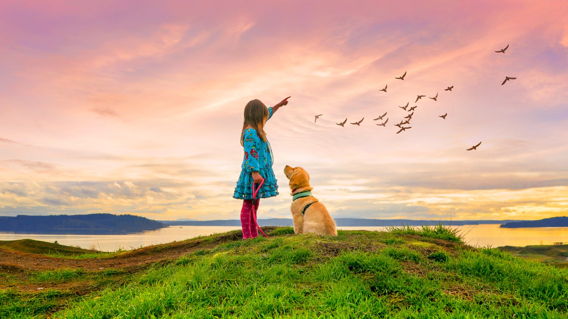 Design apps for Windows: Girl and dog on hill