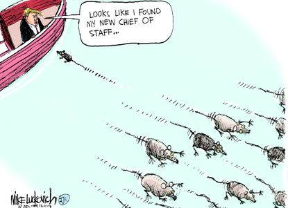 Political cartoon U.S. Trump chief of staff job opening rats