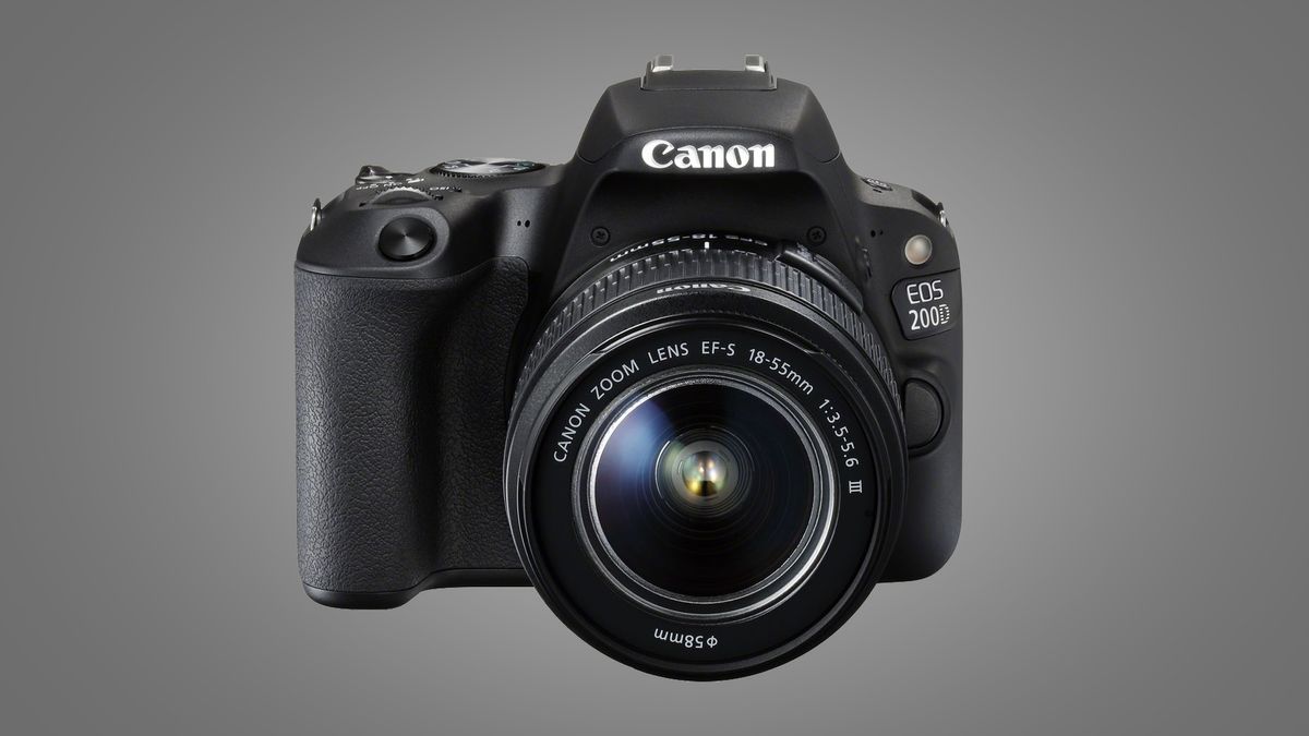Canon vs Nikon