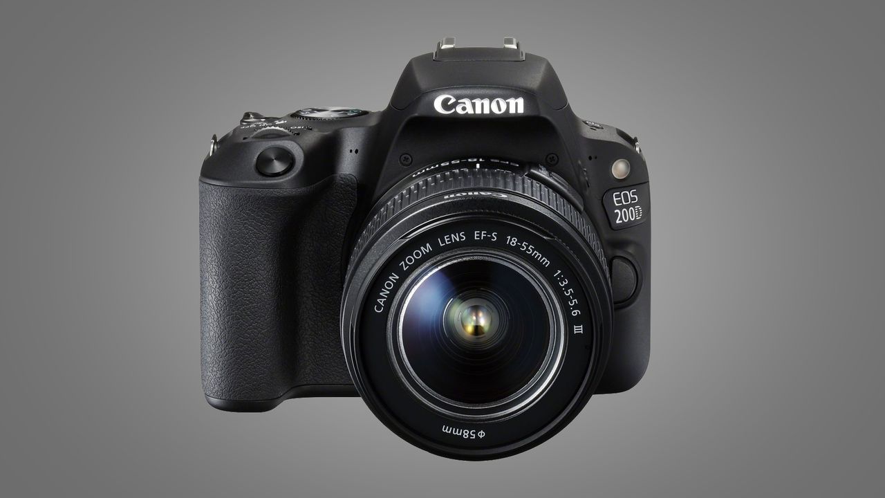 Canon vs Nikon