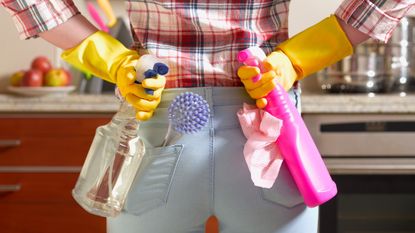 two cleaning products, Girl preparing to spring clean kitchen
