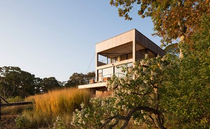 Island Creek, View of hillside and house