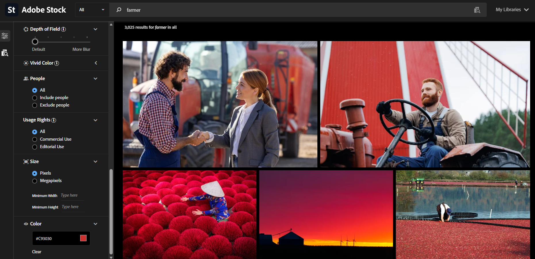 Using Adobe Stock's different features during our testing
