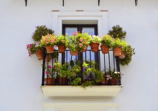 Beautiful balconies with typical flowers in Grazalema