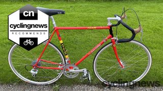 Ti-Raleigh Team 753 40th anniversary replica