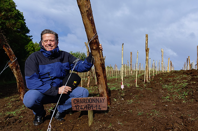 Montes Chilo&eacute; vineyard