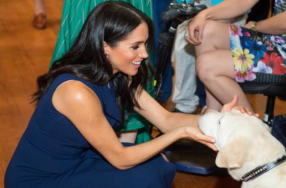 Meghan Markle adopt rescue pet archie