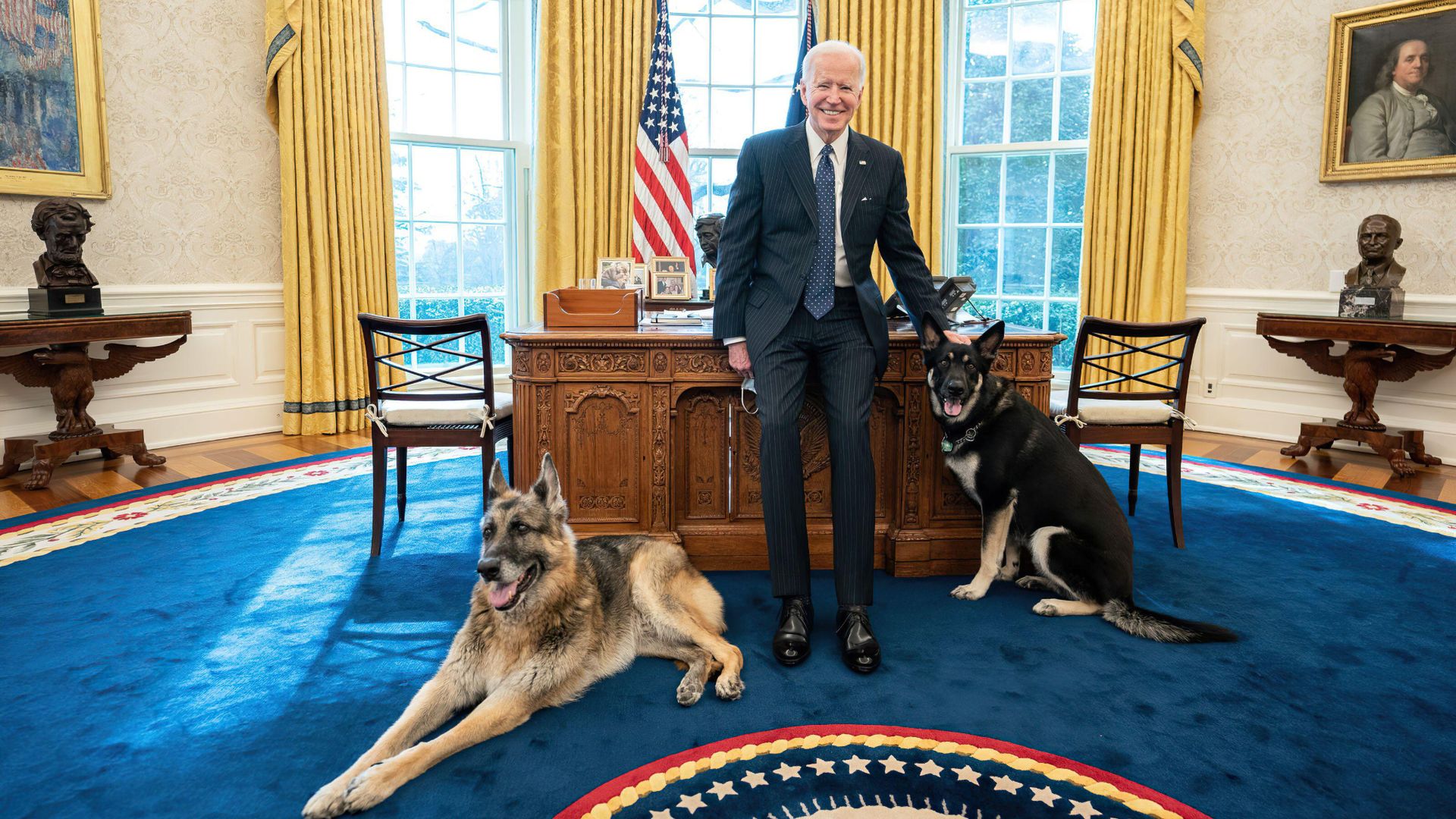Joe Biden in the oval office with two German Shepherd dogs