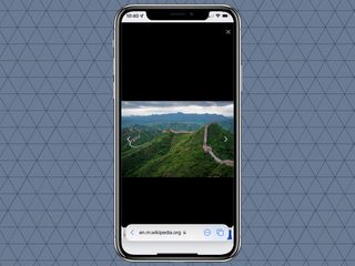 How to use visual look up in iOS 15 safari