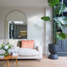 White living room with white sofa and navy cabients and large plant