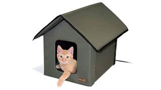 Petco outdoor cat outlet shelter