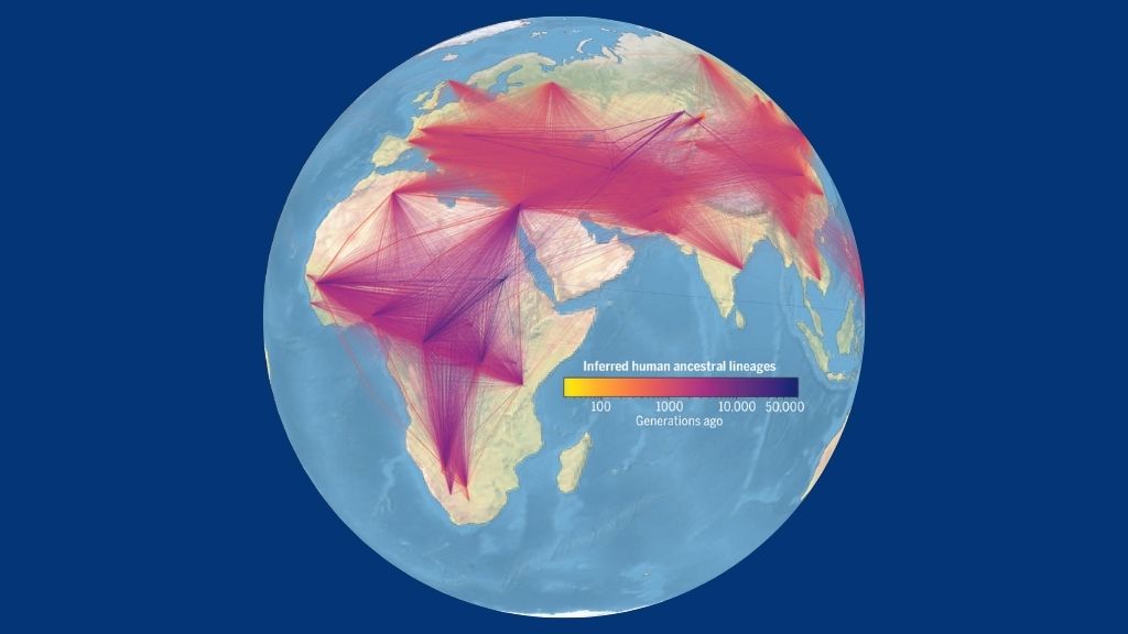 Diagram of Earth with inferred movements of human ancestors traced over it.