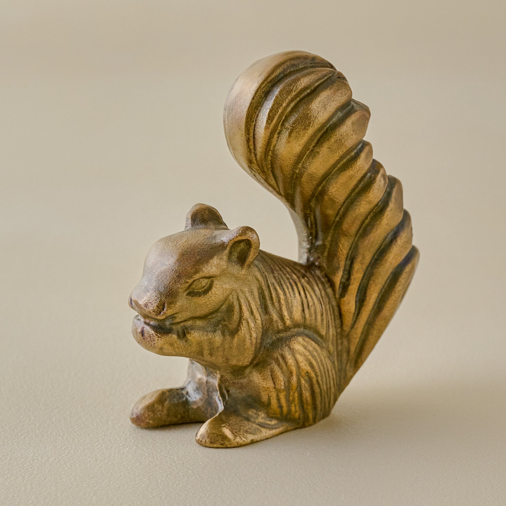 Splendid Squirrel Sit About