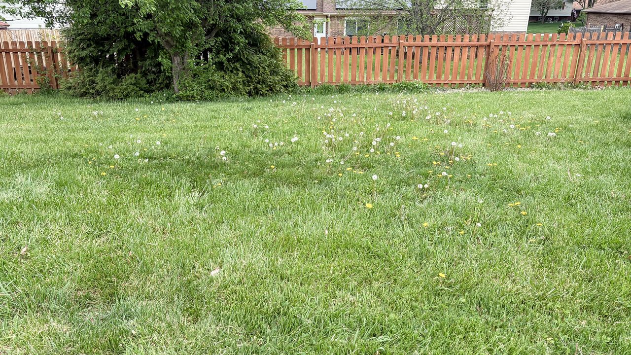 Lawn before being mowed by Lymow One Plus robot mower