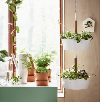 hanging planter and decorative greenery from ikea