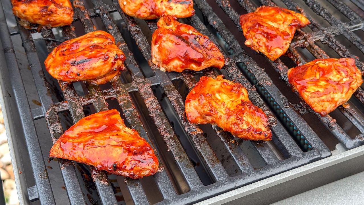 Weber Genesis E-325 Titanium Edition