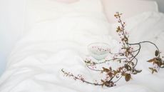 White bedsheets with a branch on them