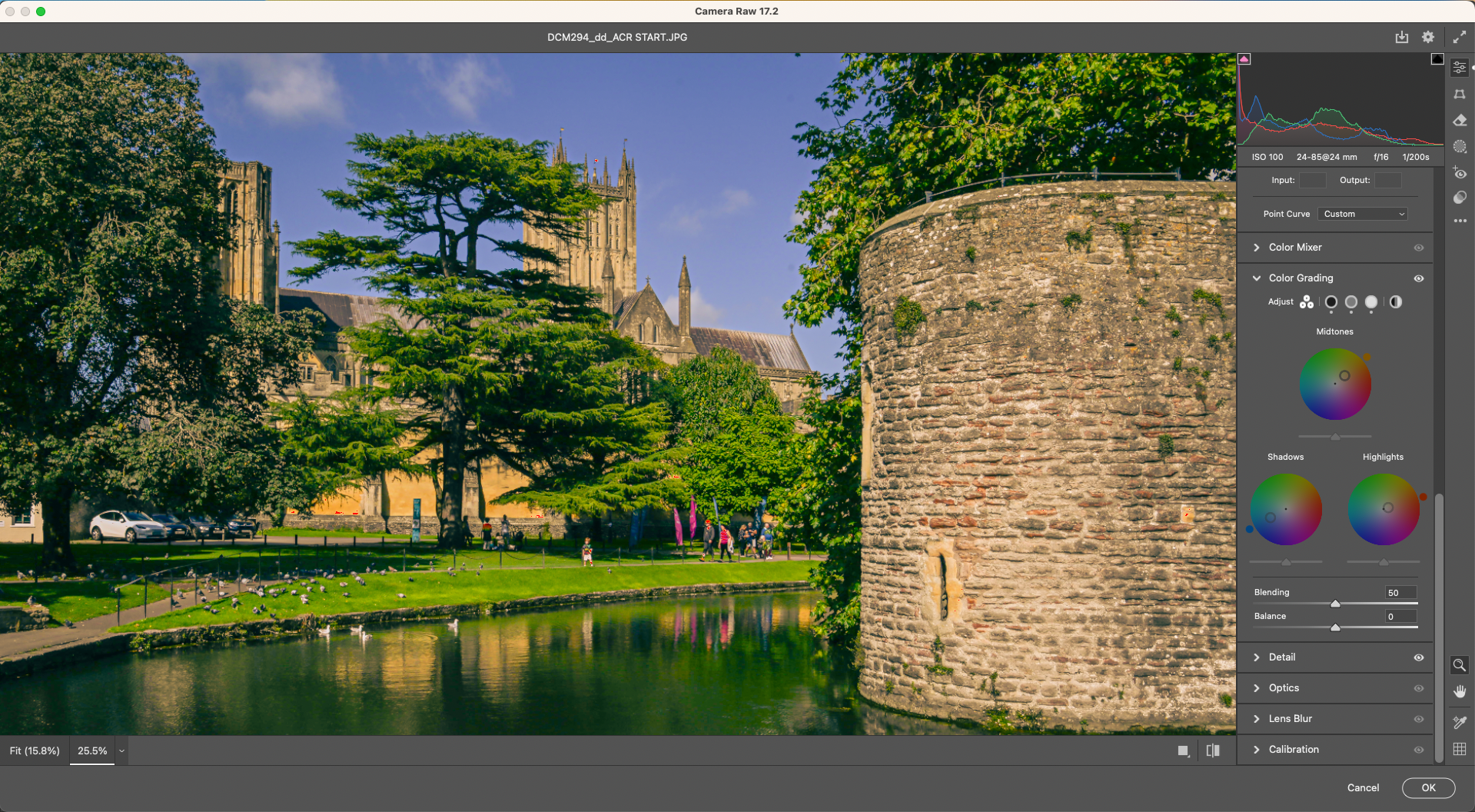 Use the Color Mixing and grading tools to give your image a different look