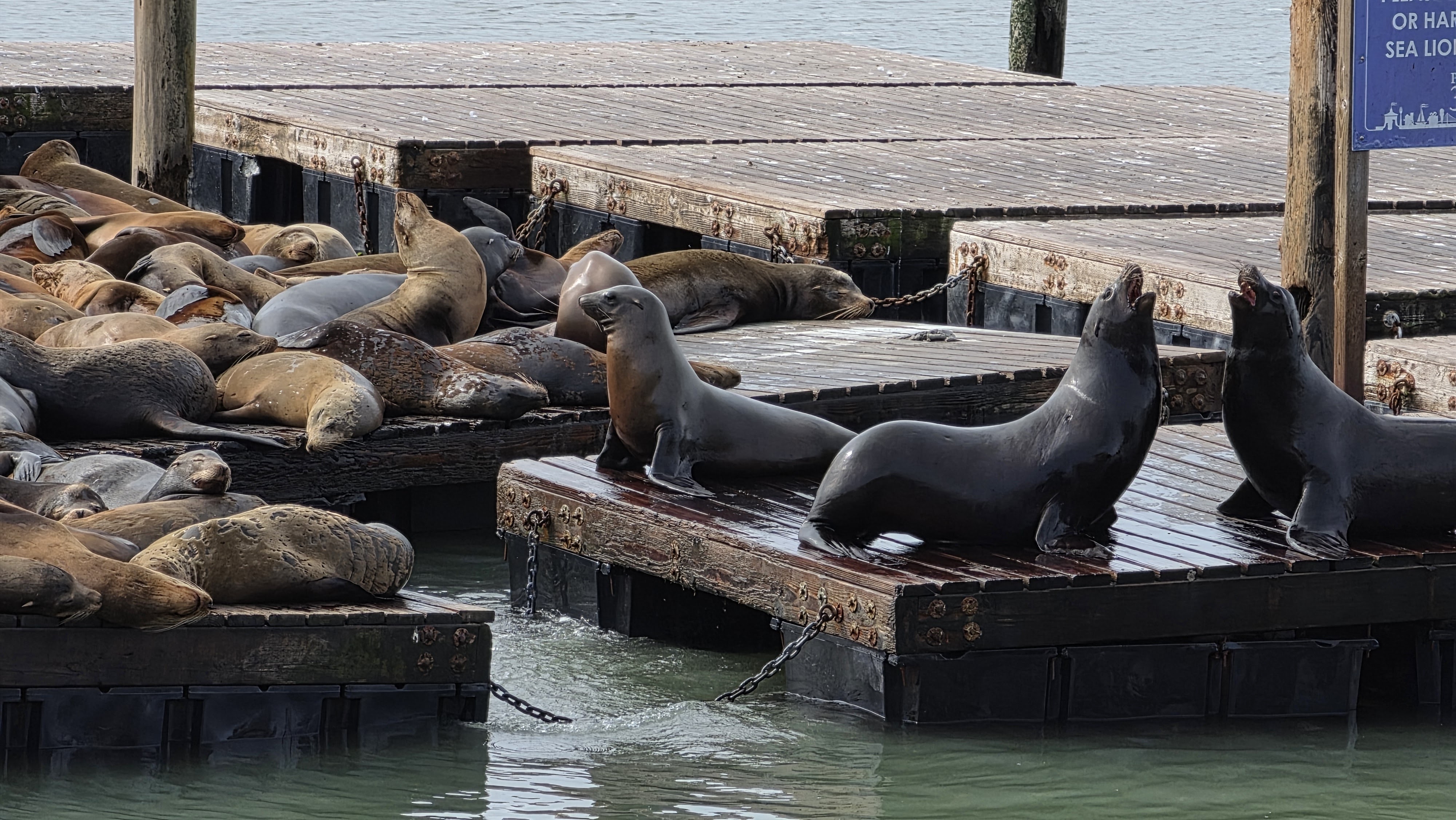 Samsung Galaxy S26 Ultra review